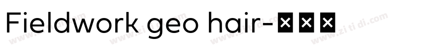 Fieldwork geo hair字体转换